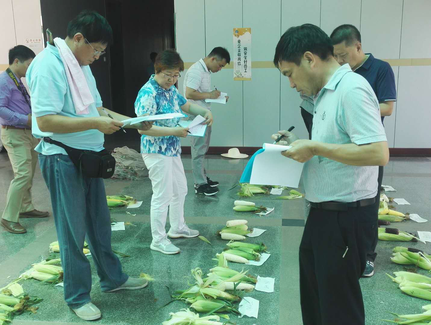 荃銀瓜菜強勢進軍鮮食玉米產(chǎn)業(yè)